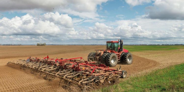 Rusya’dan tahılda oldubitti atılımı