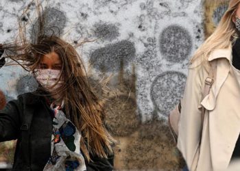 Son dakika: Maymun çiçeği yeni bir salgına neden olur mu? DSÖ’den flaş açıklama