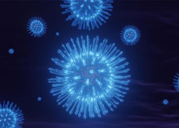 Afrika’da yeni salgın paniği! Dünyanın en ölümcül virüslerinden biri… DSÖ uzmanları inceliyor