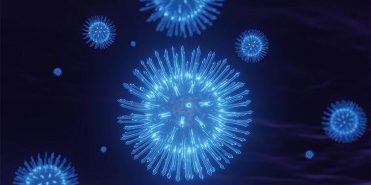 Afrika’da yeni salgın paniği! Dünyanın en ölümcül virüslerinden biri… DSÖ uzmanları inceliyor