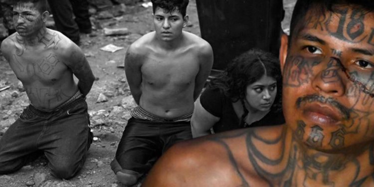 Çete üyelerine diz çöktürüp poz verdiler! ‘Bunun bedelini ödeyeceksiniz’