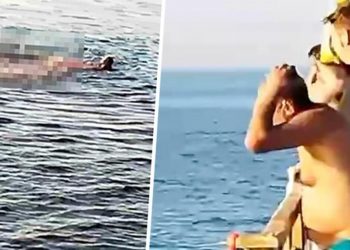 Kızıldeniz’de can pazarı… Köpekbalığı saldırdı! Dehşet dolu anlar kamerada