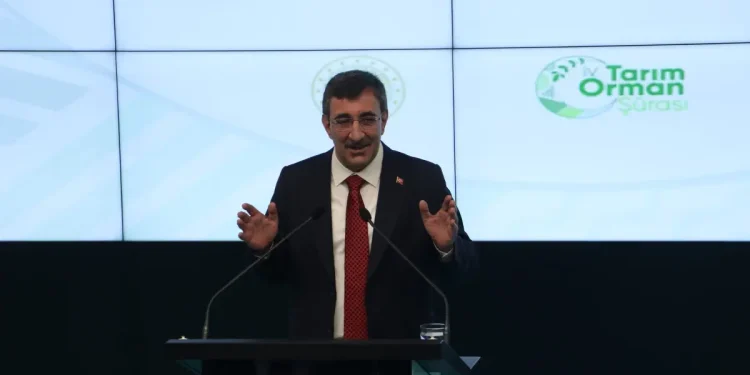 Cevdet Yılmaz: Bu yıl deprem yaralarını sarma sürecini geride bırakacağız