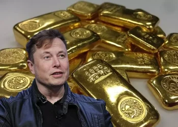 Elon Musk her şeyi bilmek istiyor! Artık de altına el attı