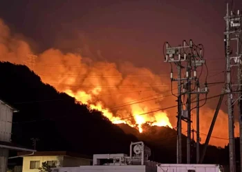 Japonya’da Orman Yangınları Büyüyor