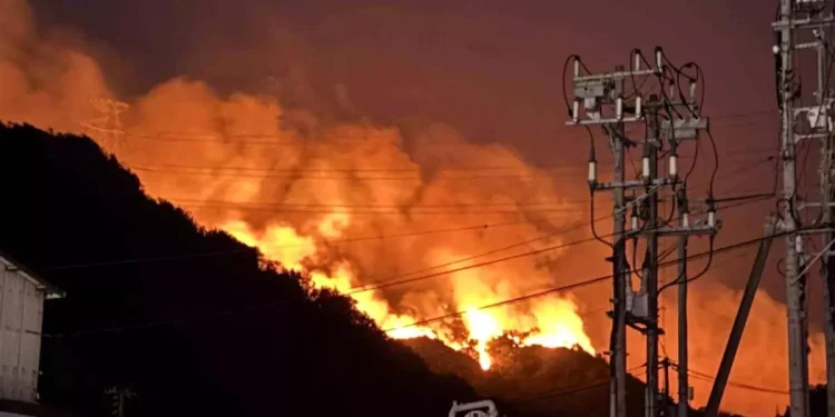 Japonya’da Orman Yangınları Büyüyor