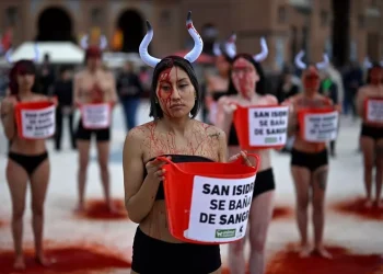 İspanya’da Boğa Güreşleri Protesto Edildi