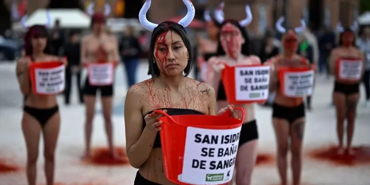 İspanya’da Boğa Güreşleri Protesto Edildi