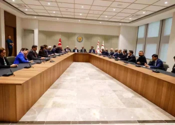 KKTC Cumhurbaşkanı Tatar, TDT Aksakallar Konseyi Başkanı Yıldırım ile görüştü