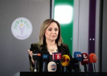 DEM Parti’li Doğan: Meclis artık barış mesaisi yapmalı